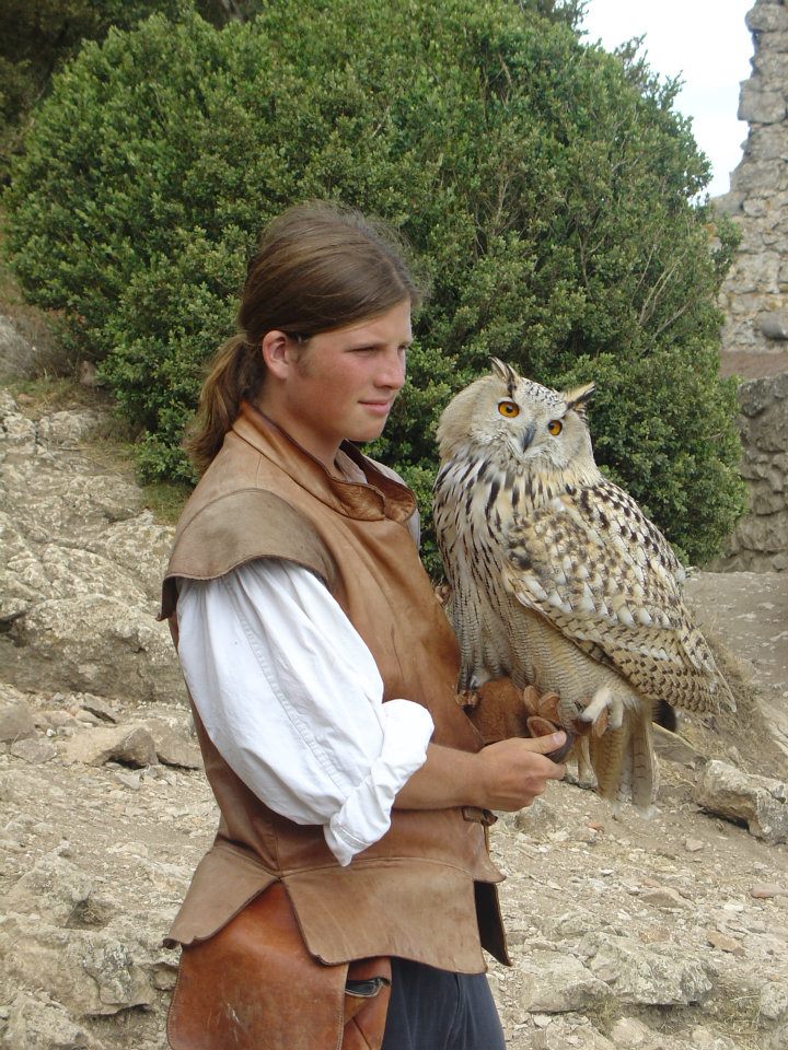 Spectacle de fauconnerie: rapace en vol libre, normandie, paris