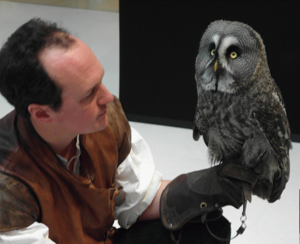 Spectacle de fauconnerie: rapace en vol libre, normandie, paris