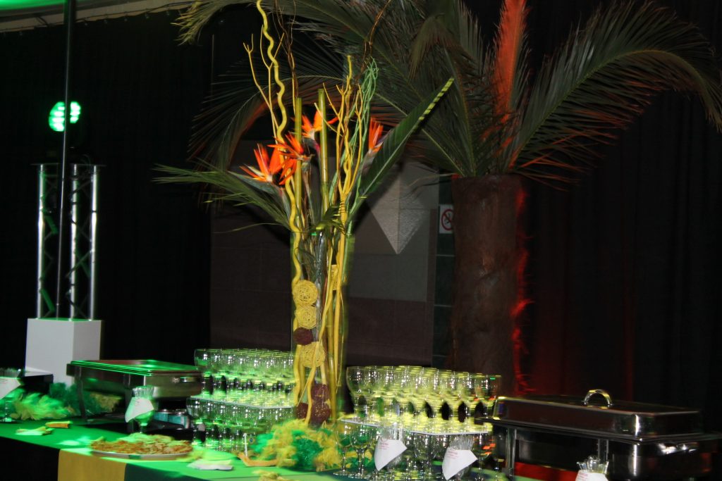 Realisation soiree bresilienne caen 2