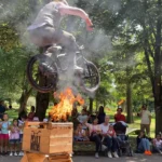 Show BMX , Ile de France et Normandie