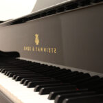 Pianiste : animation événement musique: piano bar, piano jazz, piano classique