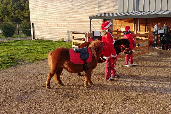 Paris : les balades à poney pour les enfants interdites dans les