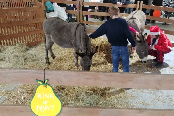 Les animaux de la ferme anes - animation enfant arbre de noel , family day , theme nature, environement