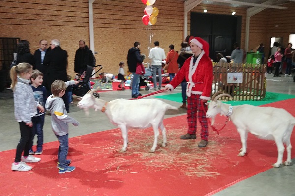 Les animaux de la ferme chèvres -- animation enfant arbre de noel , family day , theme nature, environement