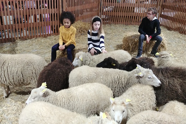 Les animaux de la ferme moutons enfants- animation enfant arbre de noel , family day , theme nature, environement