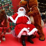 Arbre_de_noel_Poney_paris_Caen