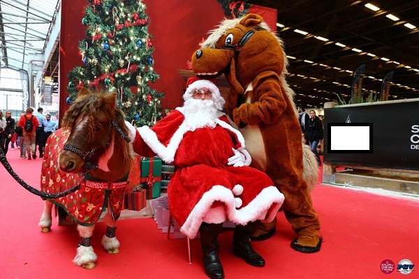 Arbre_de_noel_Poney_paris_Caen_mascotte