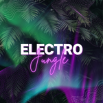 Clé en main - Soirée electro jungle